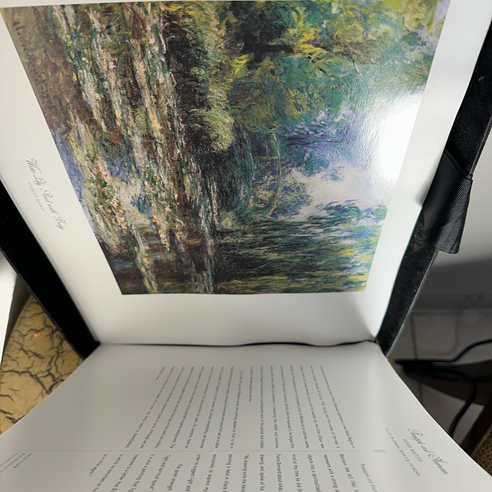 Bellagio Hotel Gallery Fine Ltd Edition Art 31 Prints Coffee Table Boxed Book - Picture 6 of 12
